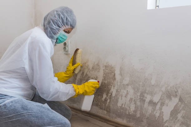 Best Crawl Space Mold Removal  in Crump, TN